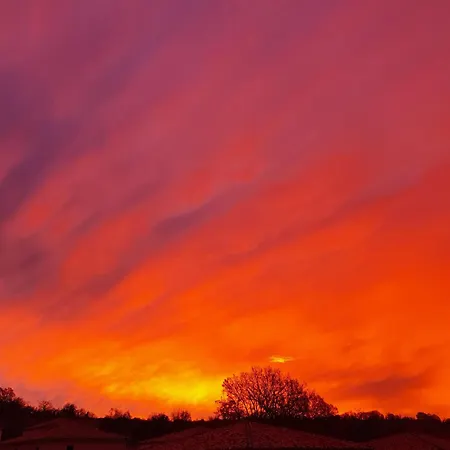 Les Contemplations *