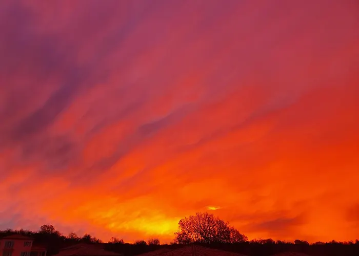 Les Contemplations *